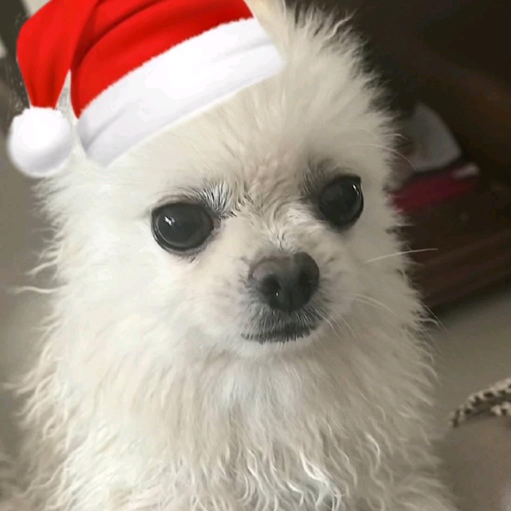 三三三元temary(期末渡劫中