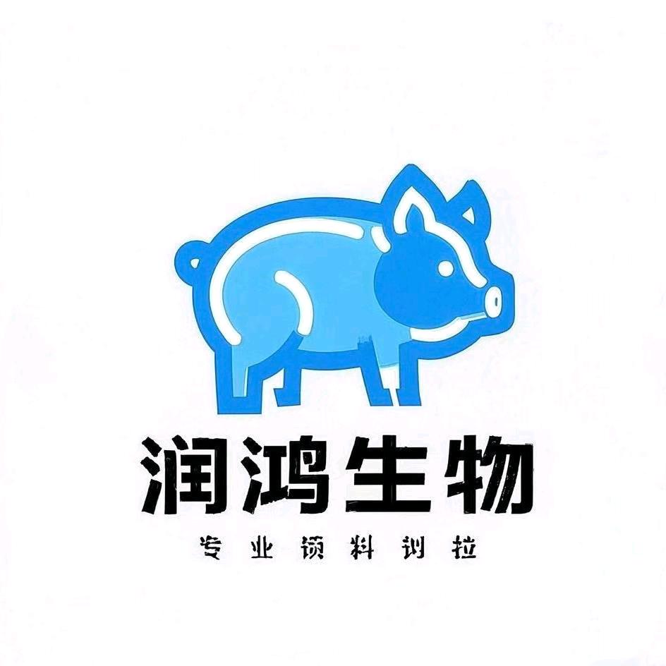 润鸿导师3