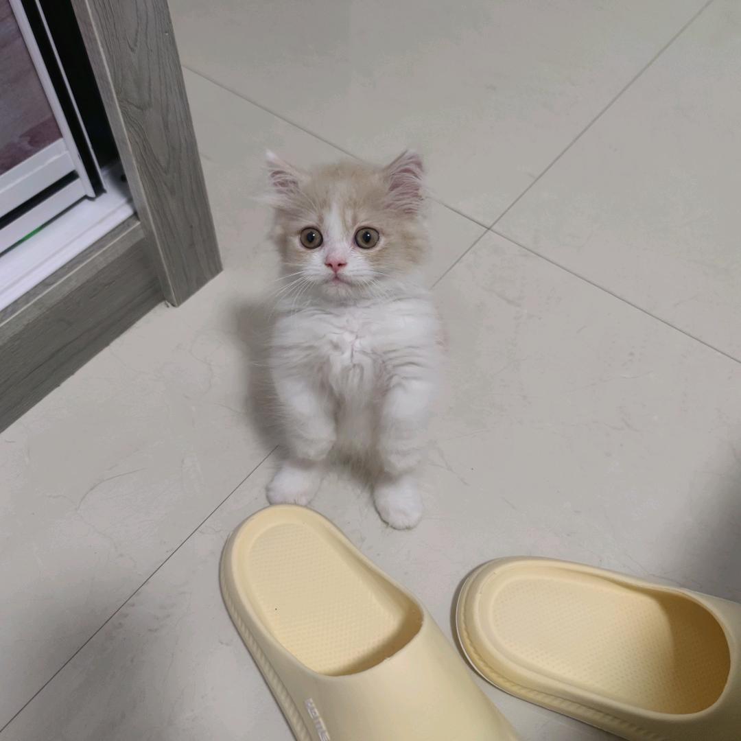 波波家的崽吃饭频道