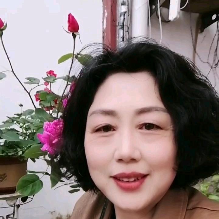 彩琴
