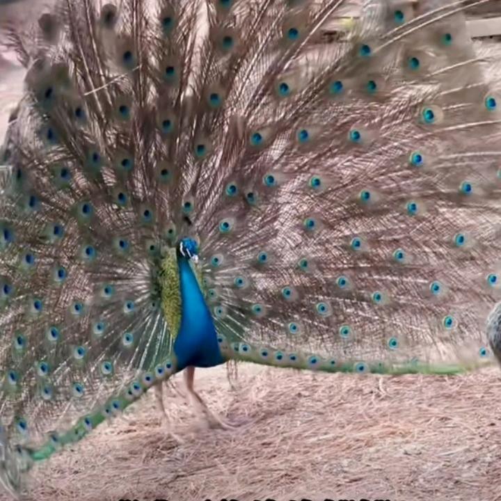 ★☞悲观——独——自饮☜★