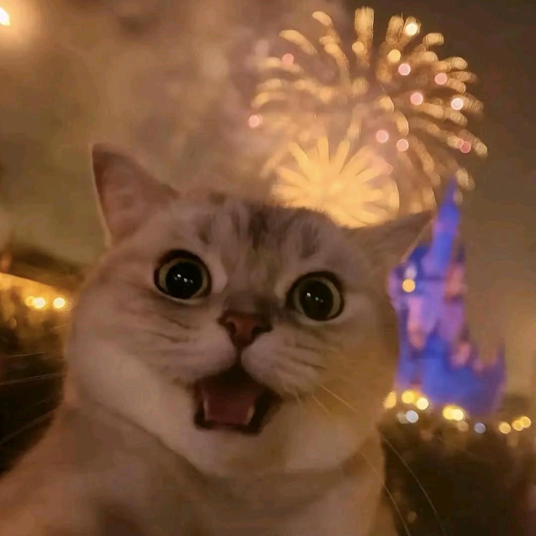 去有风的地方✿✿ヽ