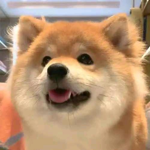 山丘