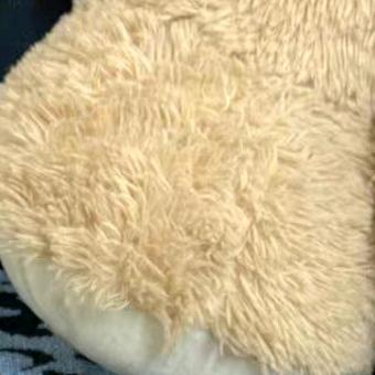 迷路不可怕，怕得是没有方向