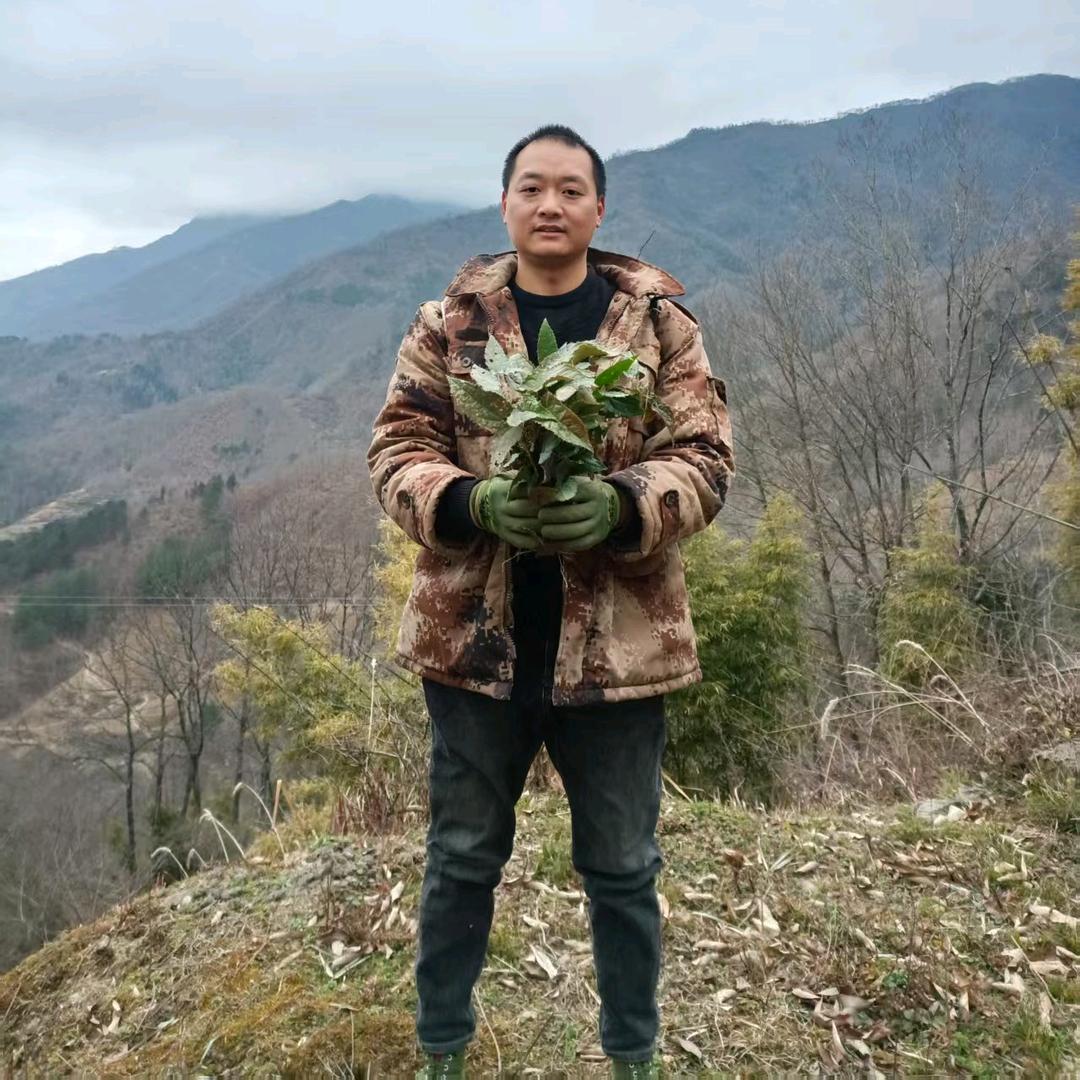 青川初农优品