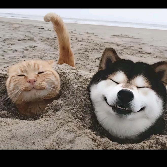 幸运好物速递🚈