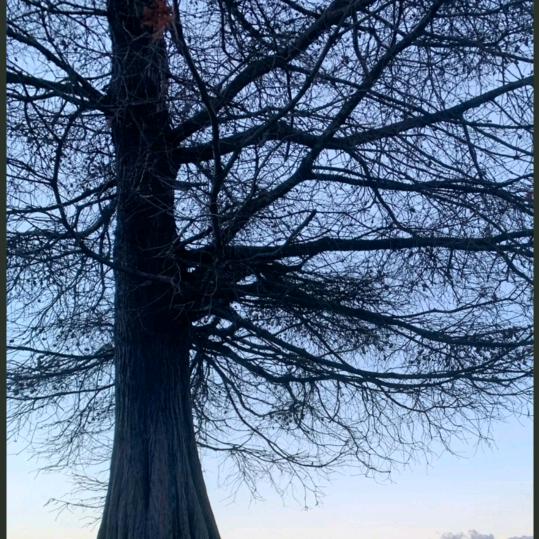 沛县兴联启电子商务经营部