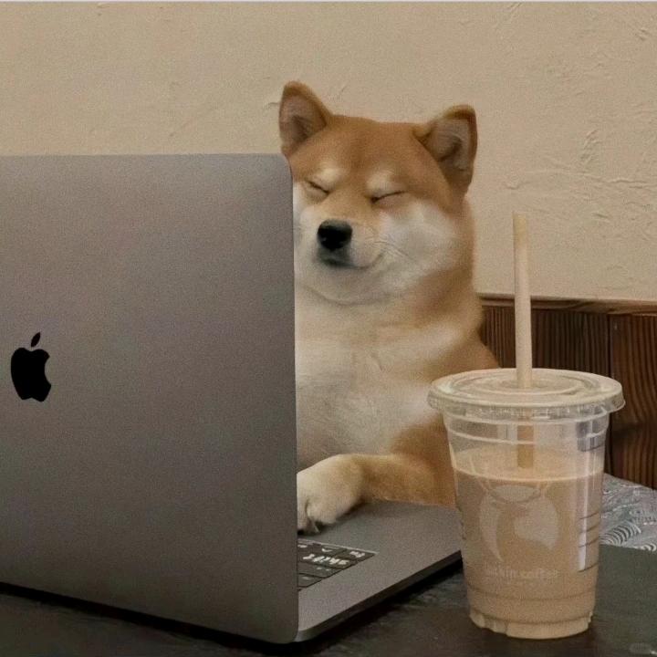 当你像鸟飞往你的山