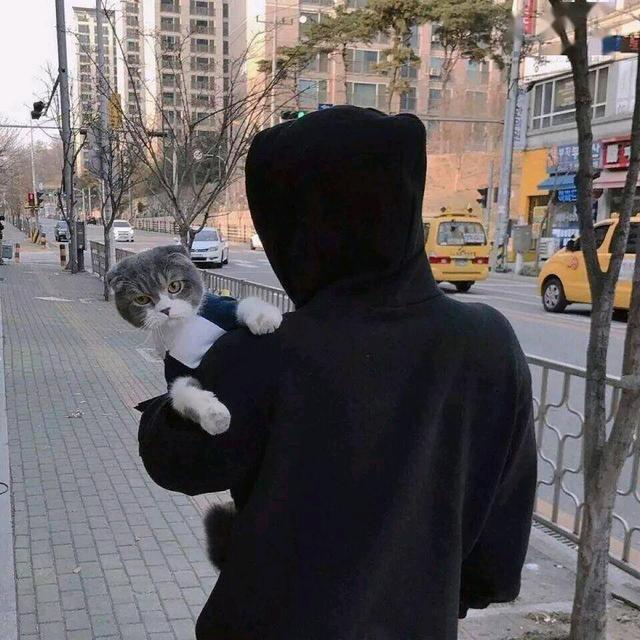无色的梦