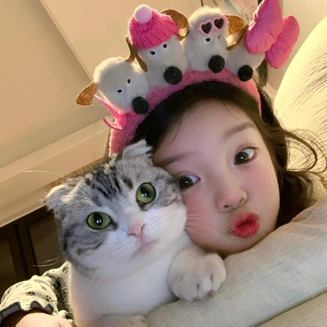 小羊快跑