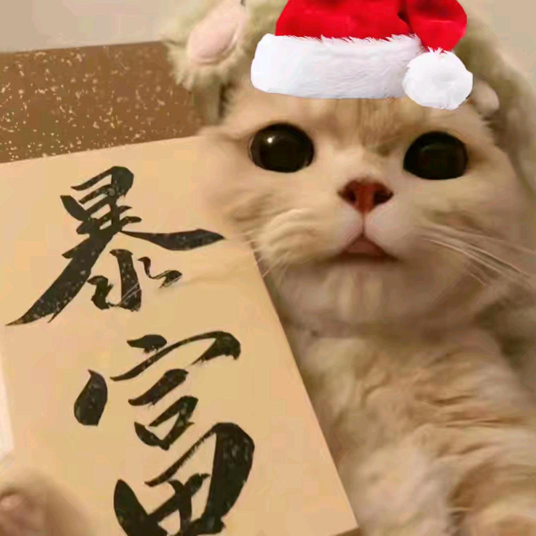 ི泡沫沫🪶ྀ(每日打卡天降版)