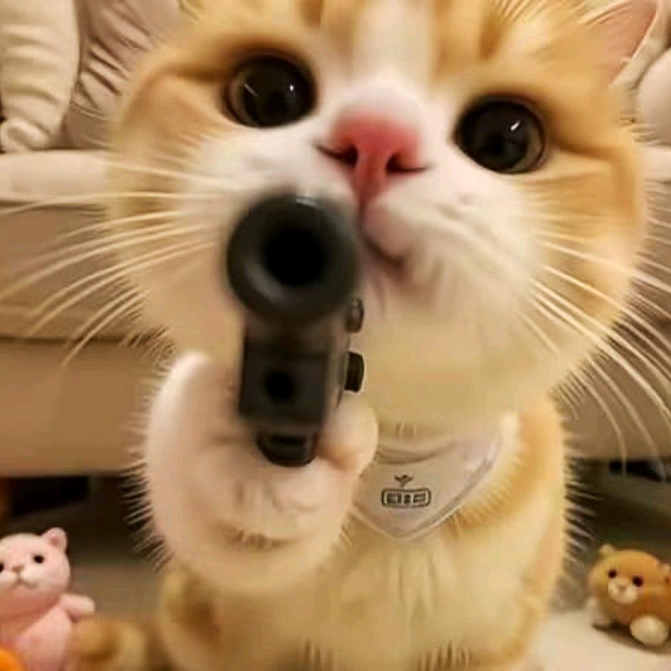 刺猬 爱玩游戏