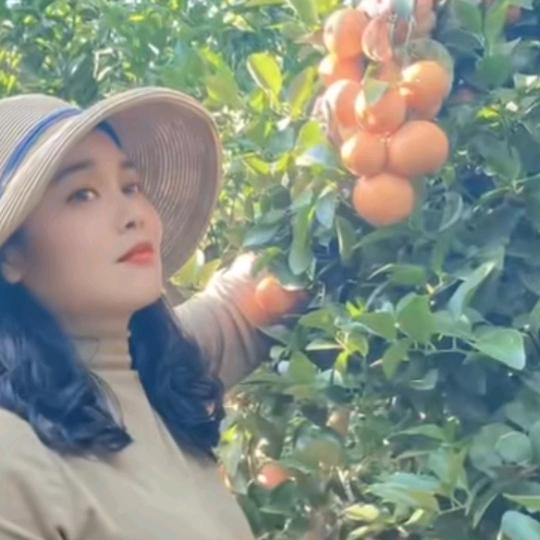 愿善良的人 都能被世界温柔以待…