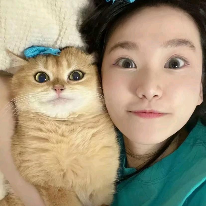 葱旭优选