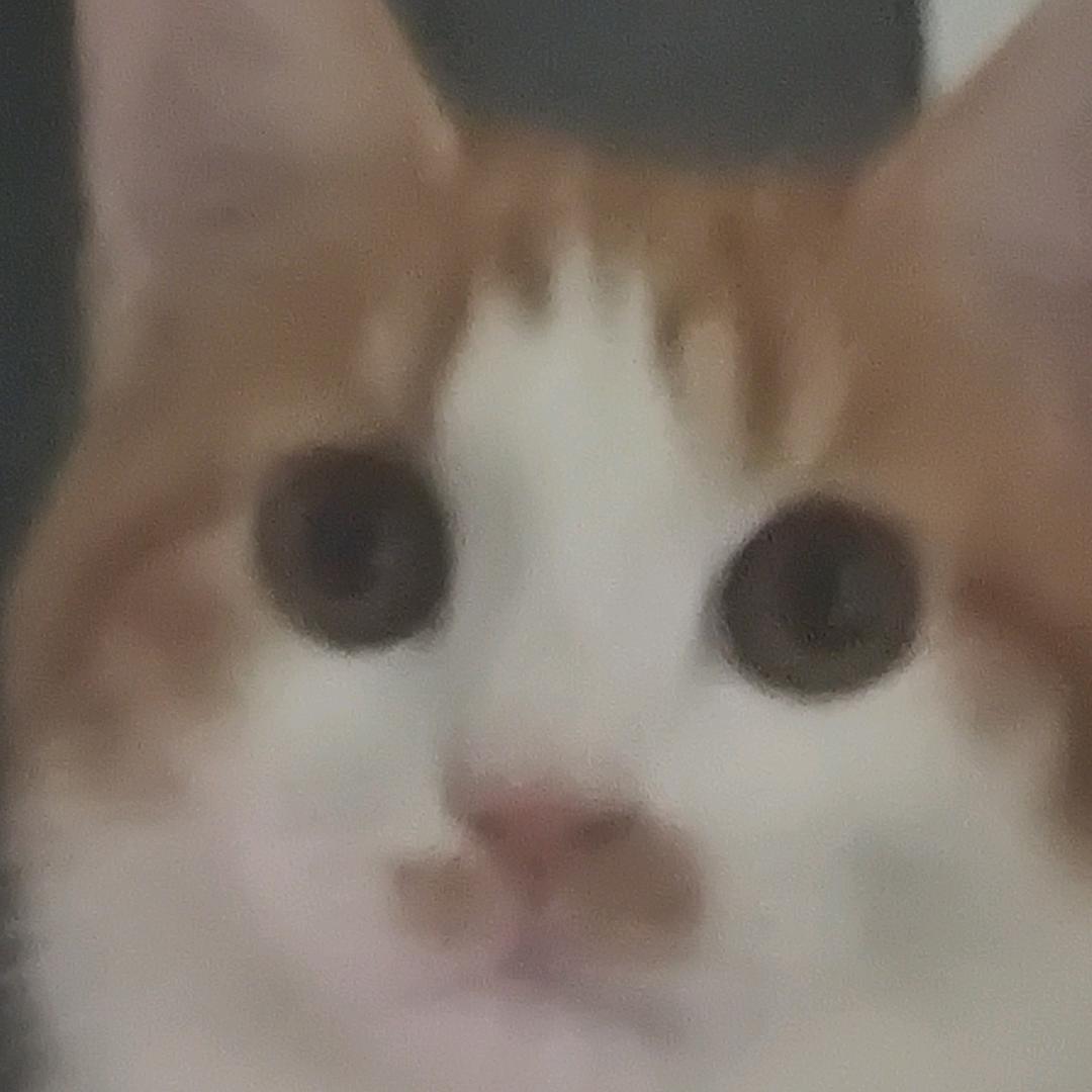 杨枝甘露（永劫无间）