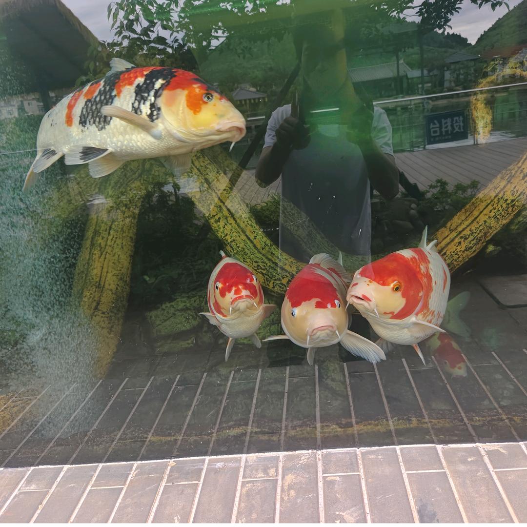 重生之我在小城送外卖