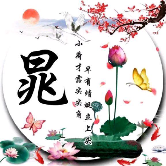 晁氏老大