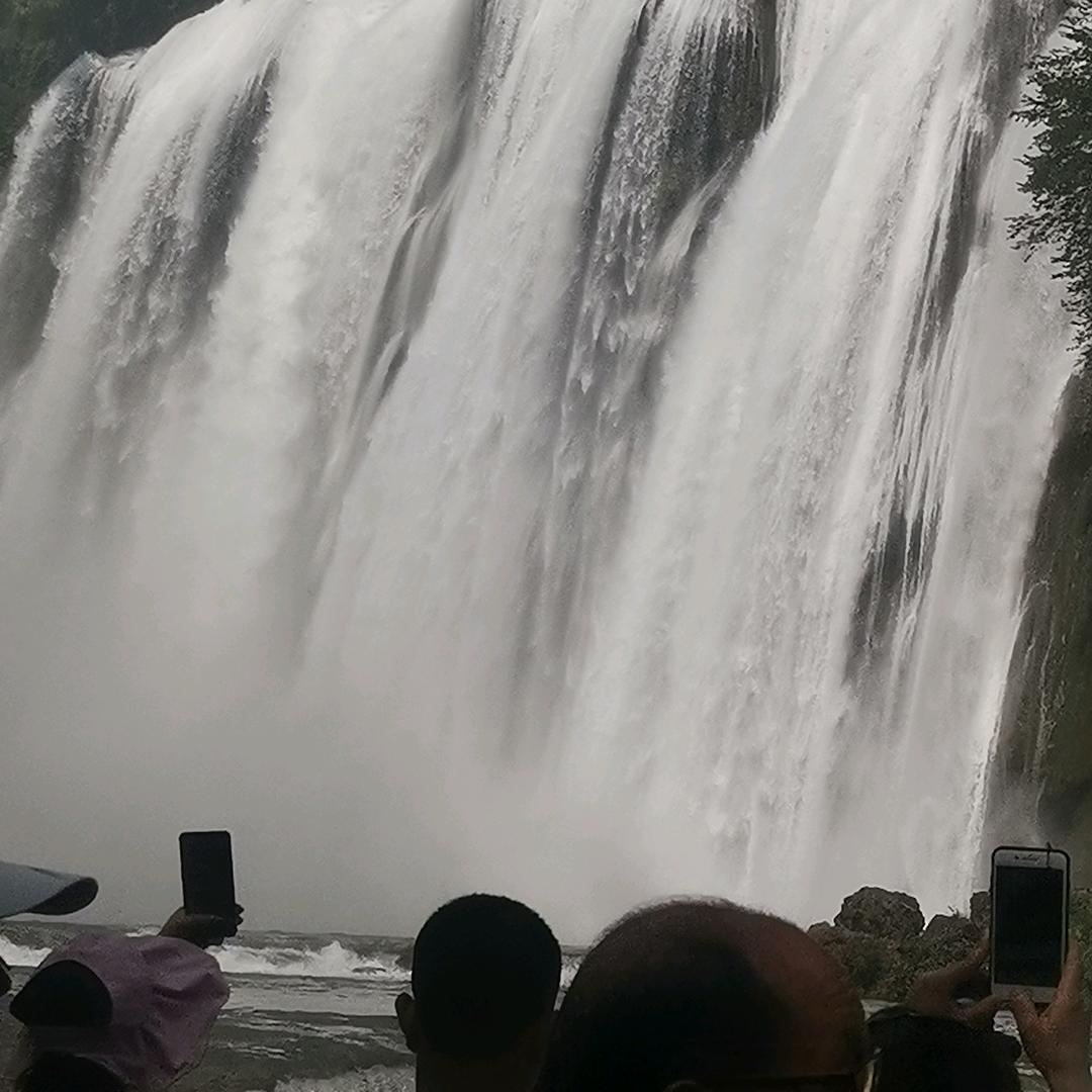 礼貌退埸不打扰