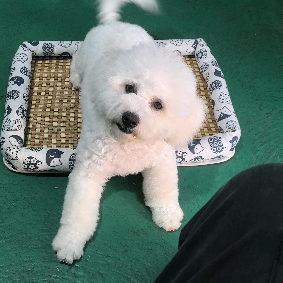 💕黄了神ℒℴѵℯۣۖ¹³¹⁴