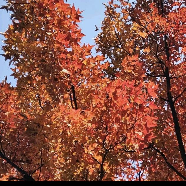 马鞍山盛嘉机械刀片有限公司