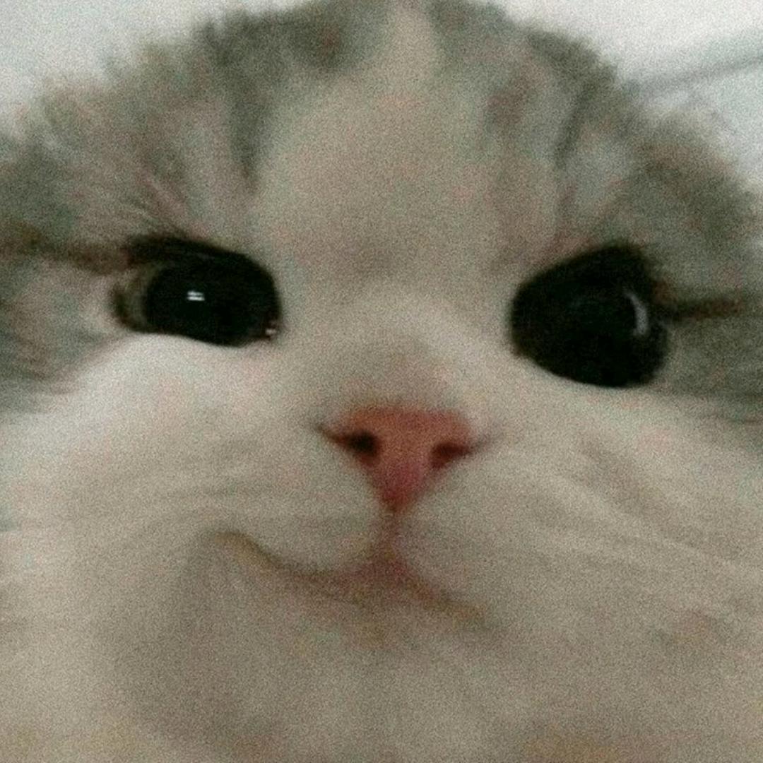 不辞