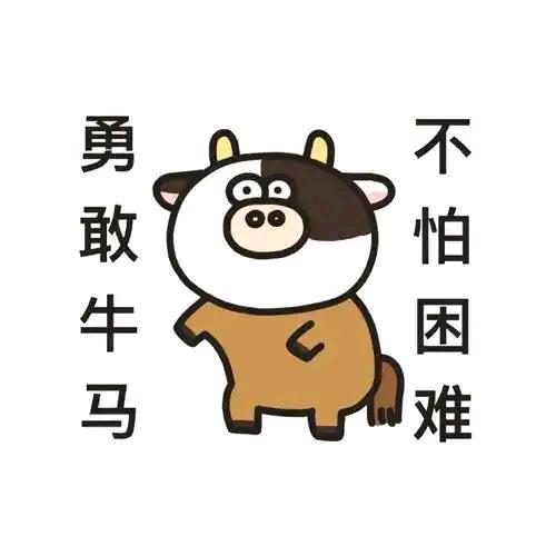 倔犟的打工人