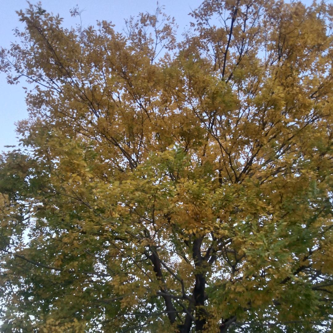 路过的都是风景