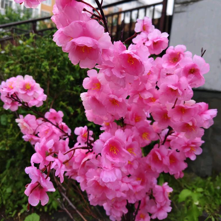 钟爱一生。《拒绝私聊合拍》