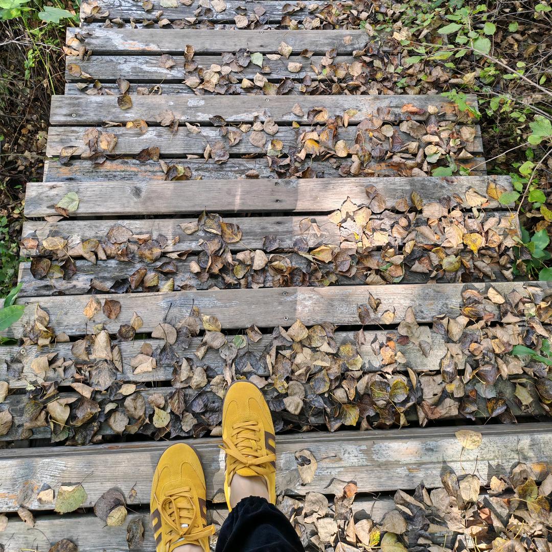 满天都是亮晶晶
