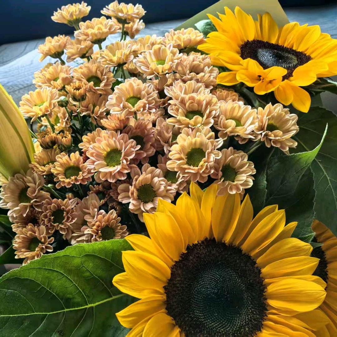 世界因你而美丽❤️❤️