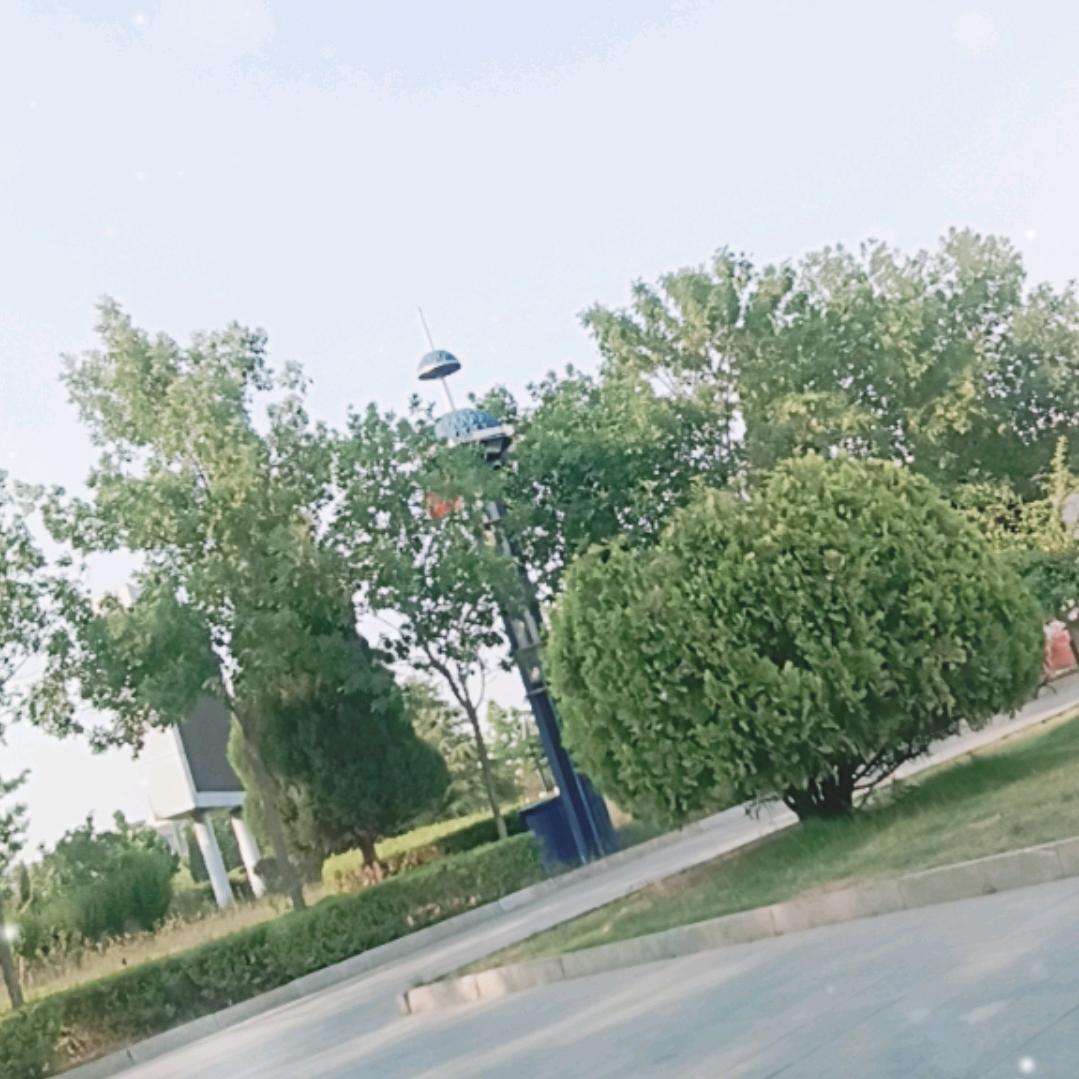 自在哥