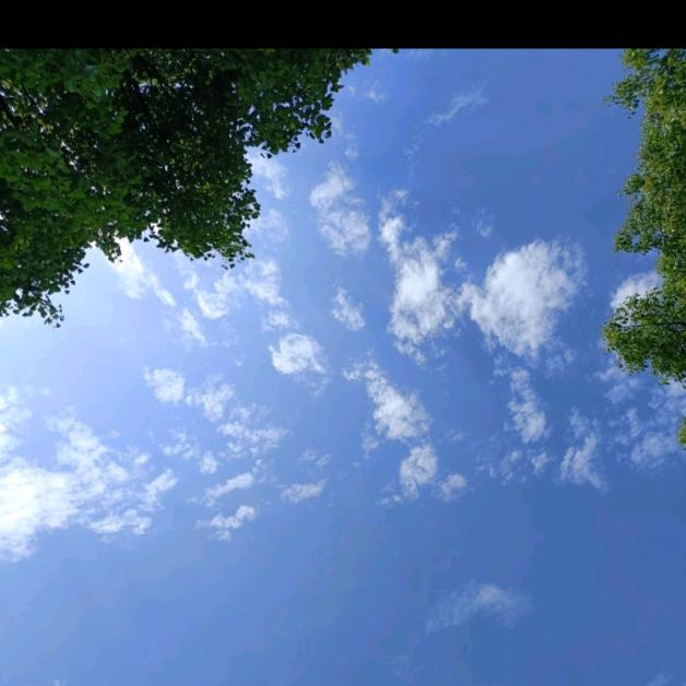 🌈黎明