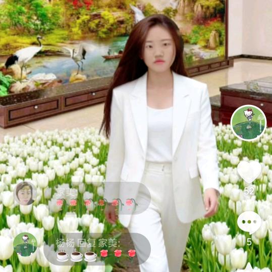 杨杨