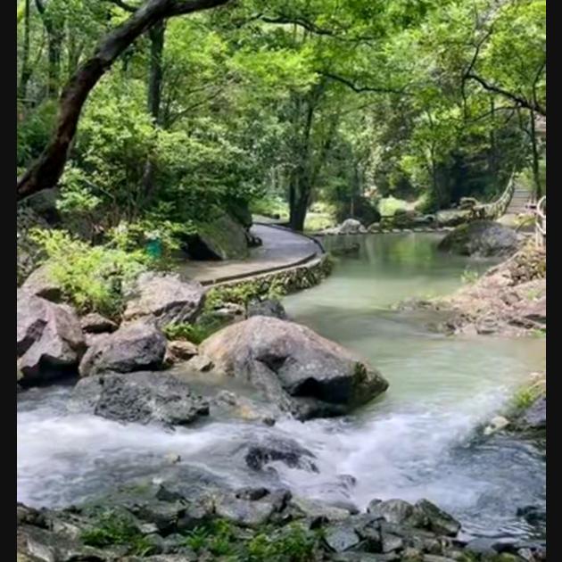 泉聚堂足道小鱼16