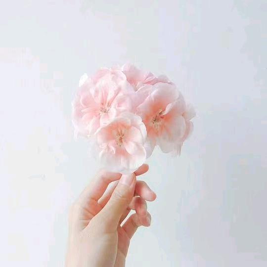 救急，不。救穷