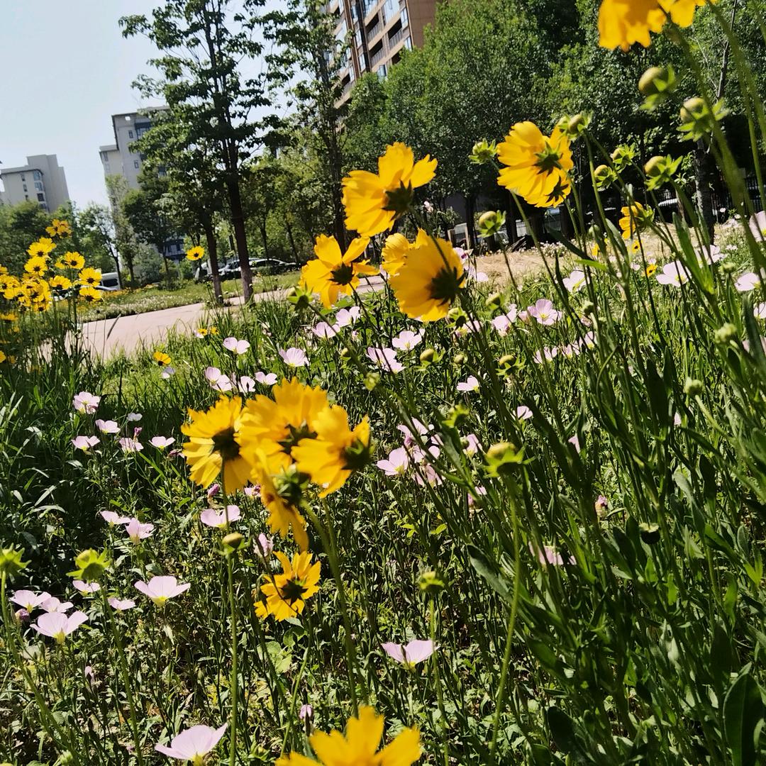 让我欢喜让我忧