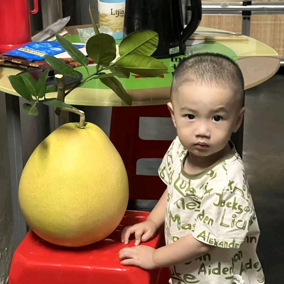 小源四季水果