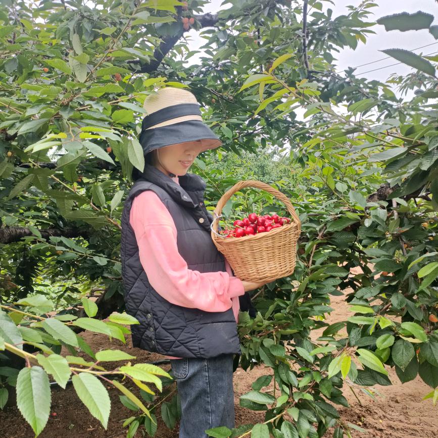 硕硕家的二掌柜