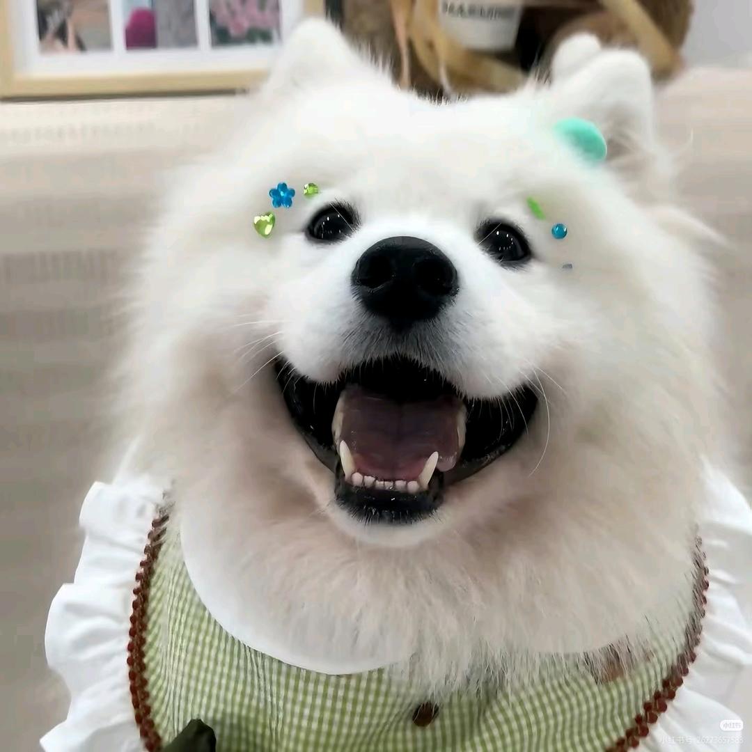 豆角