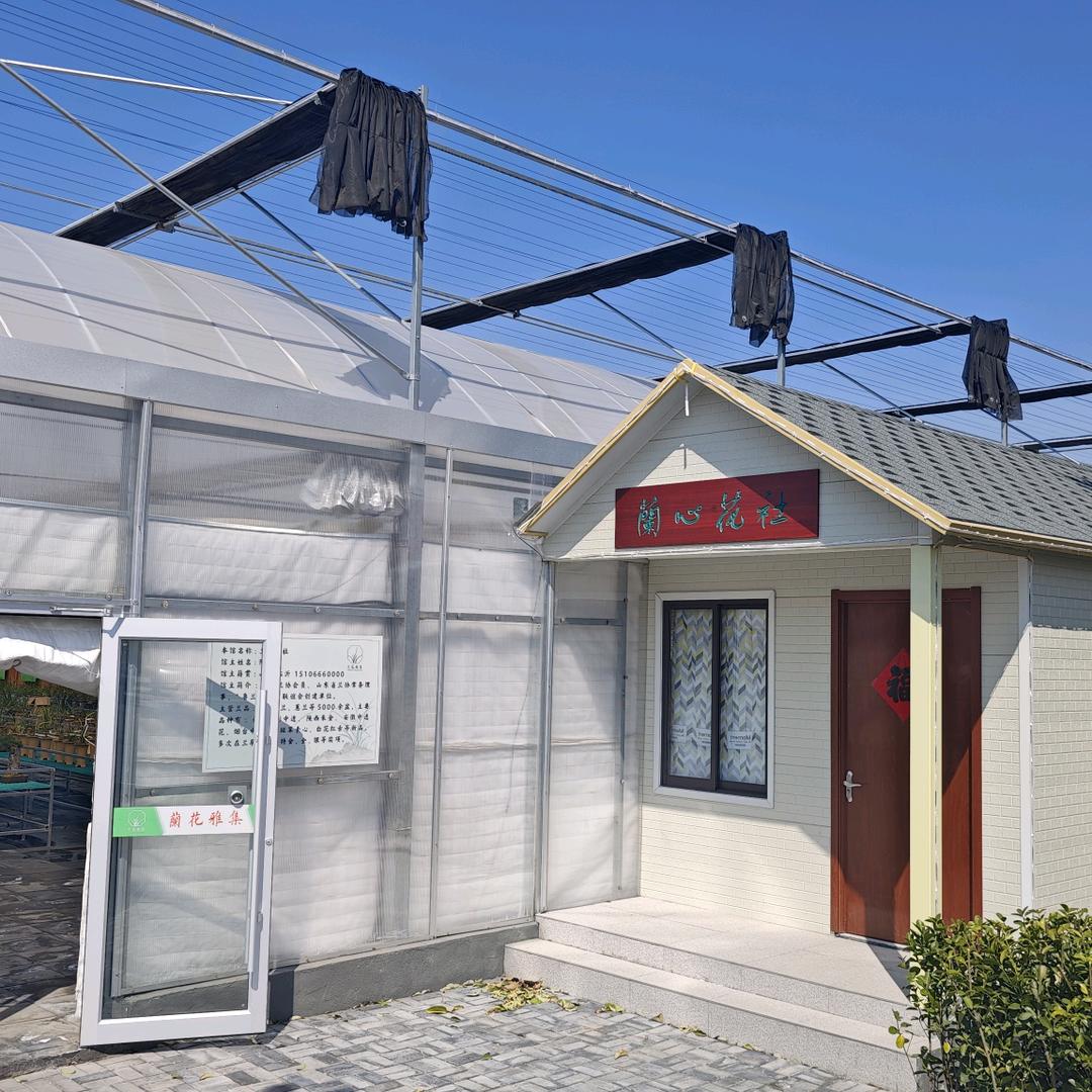 兰花飞哥（小号）
