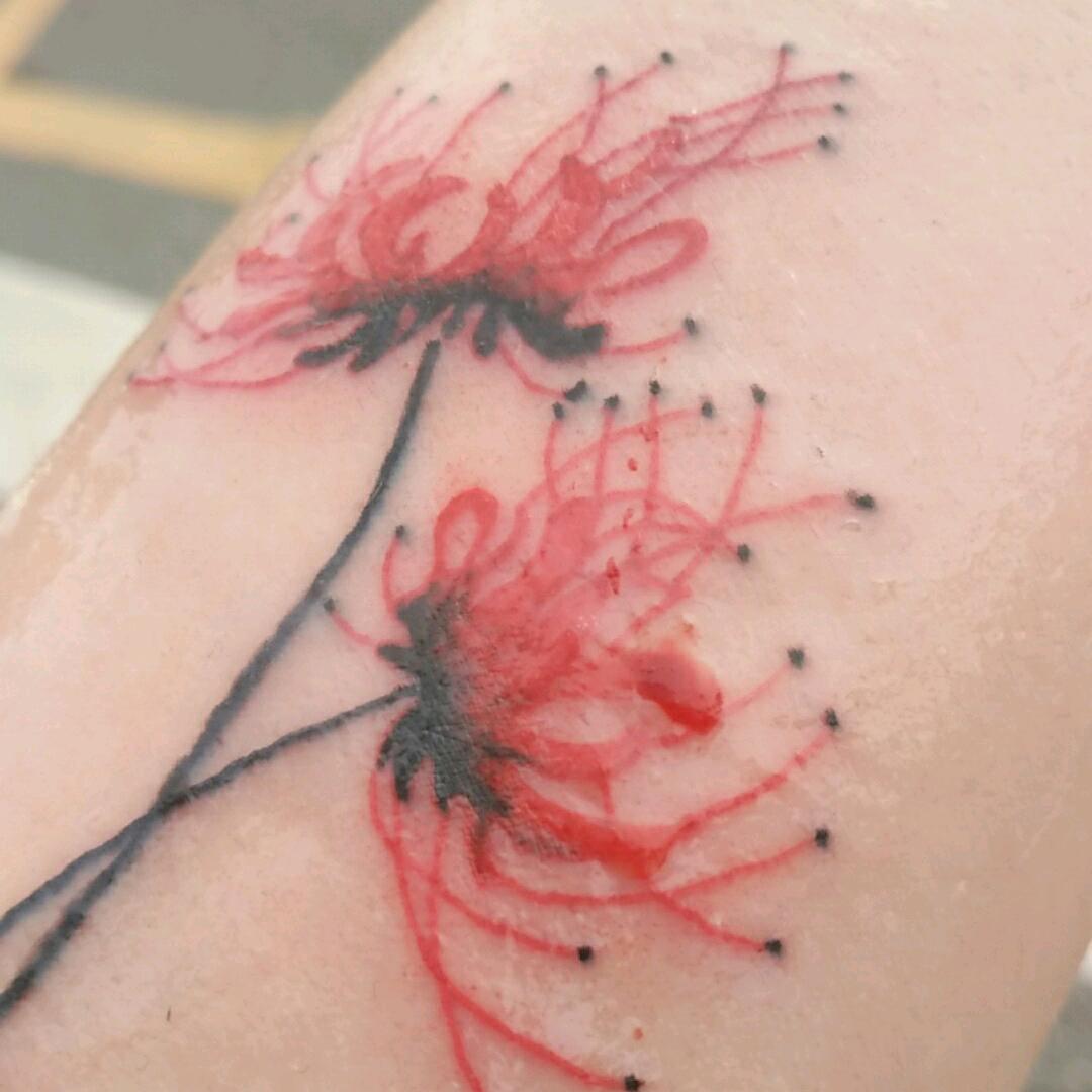 💘ℒᎭꫛ 可乐加冰᭄༊