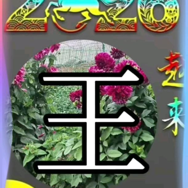 开开❤️心心🎊过好每一天