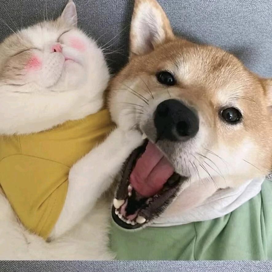 my烨🤑