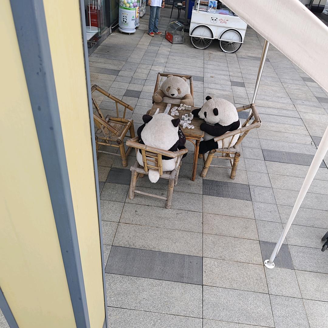 鸭嘴兽