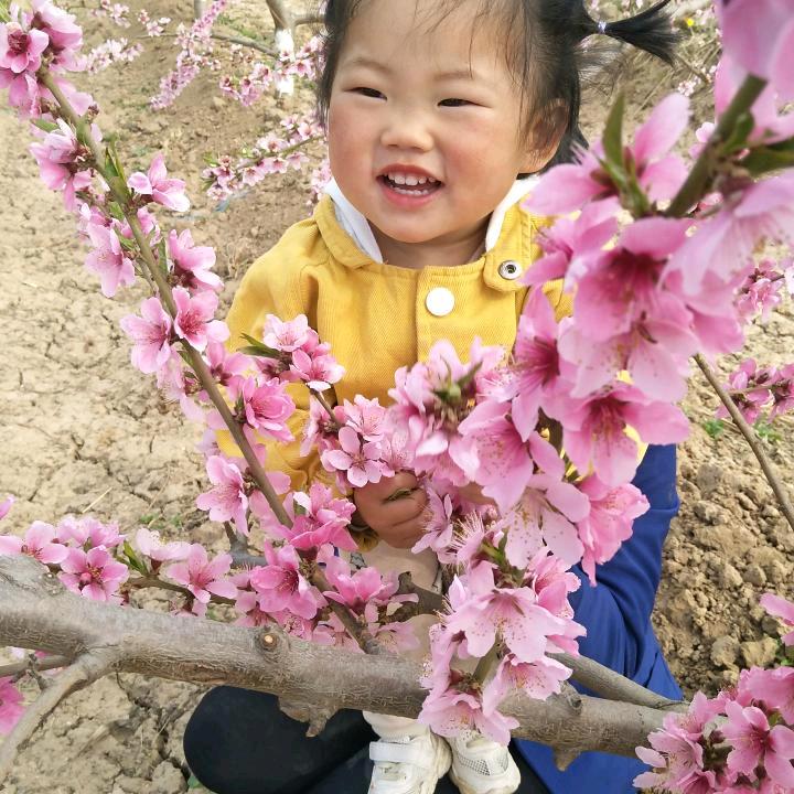 一帆风顺，厚德载物。