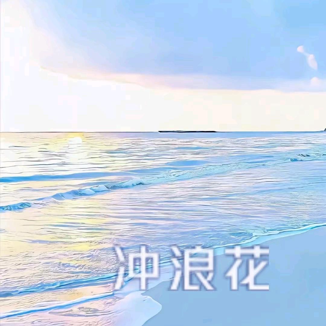 冲浪花企业店