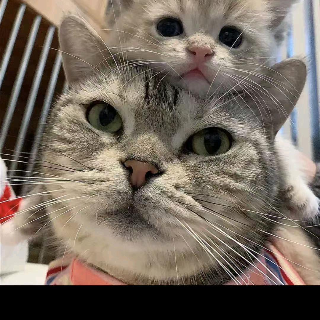 @七七