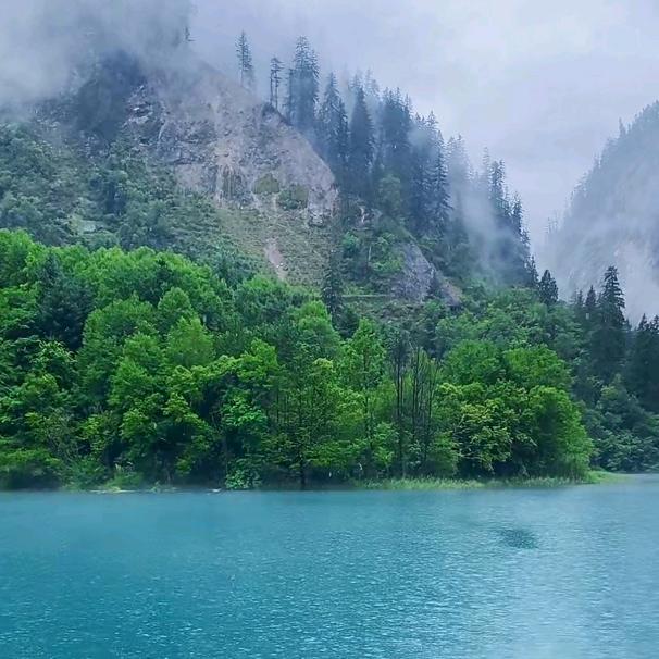 非无情，惧悔也