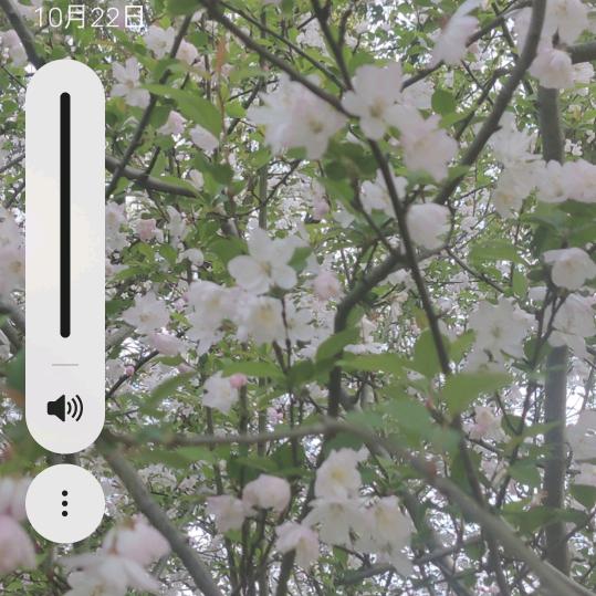 风雨无阻