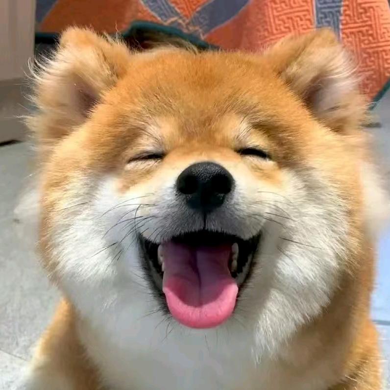 哆哆故事